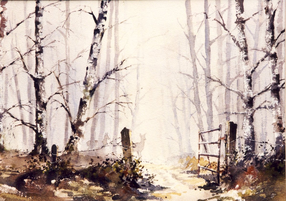 image shows: A Walk in the Woods: Watercolour