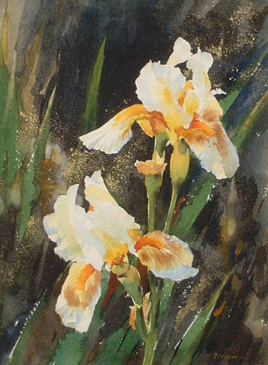 image shows: White Irises: Watercolour